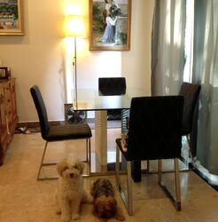 The Baycourt (D16), Condominium #608356081